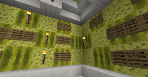 Descarca The Puzzling Rooms pentru Minecraft 1.13.2